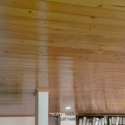 Techos En Machimbre Imagen7